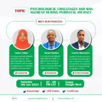 C6D157E1 6AF5 49B9 95EB 24F81F849480